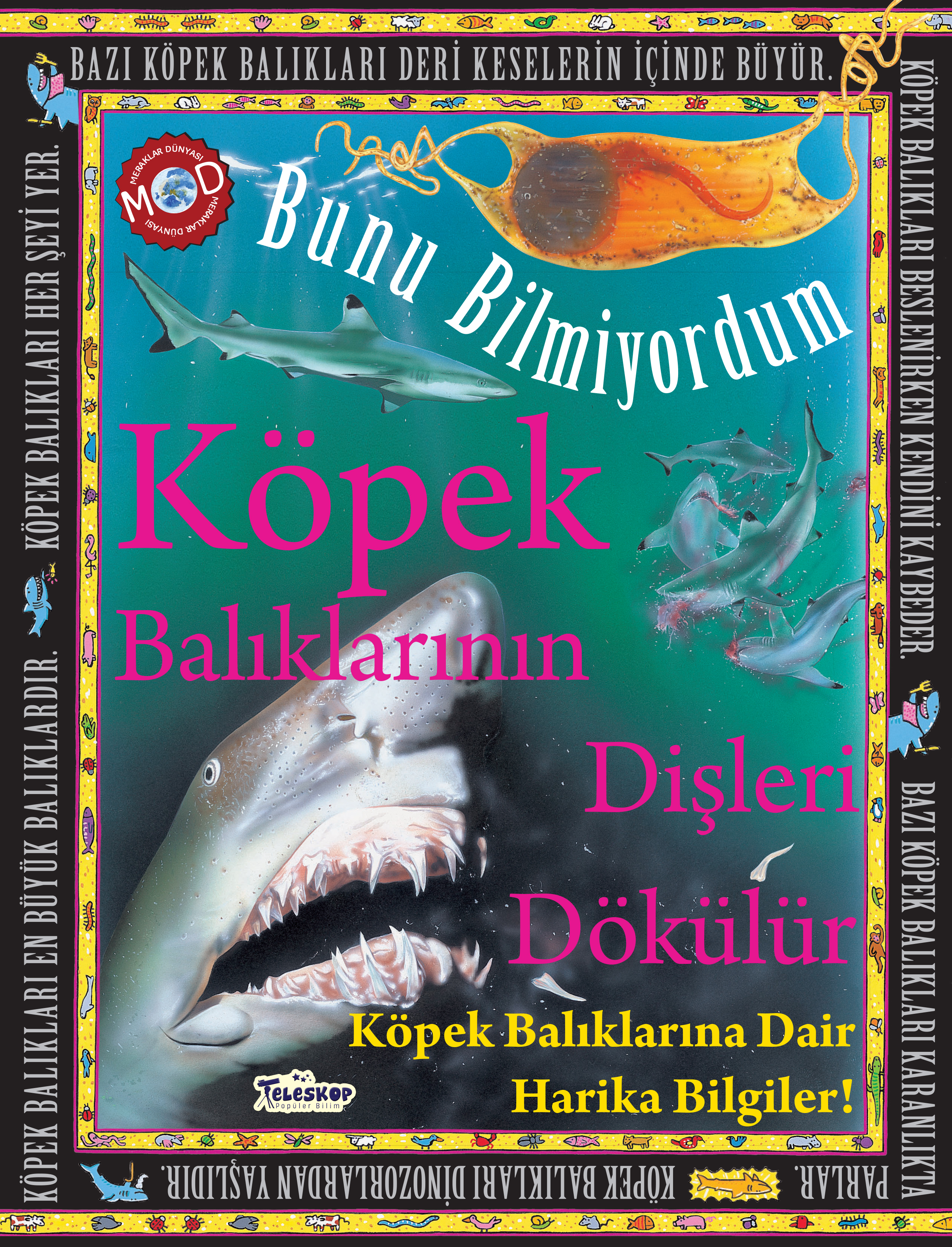 TELESKOP POPÜLER BİLİM YAYINLARI - Tel: 0216 387 00 59 - Faks: 0216 387 00 39 - Yunus Emre Mahallesi Barbaros Caddesi No:28/B-2 Yenidoğan - Sancaktepe - İstanbul - www.teleskoppopulerbilim.com - info@teleskoppopulerbilim.com - teleskoppopulerbilim@gmail.com